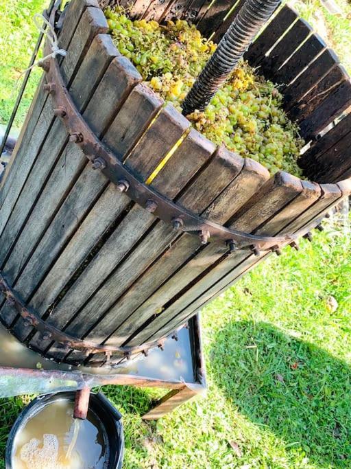 La-Marti, Idyllische Unterkunft Mit Kamin Bagdati Exterior foto